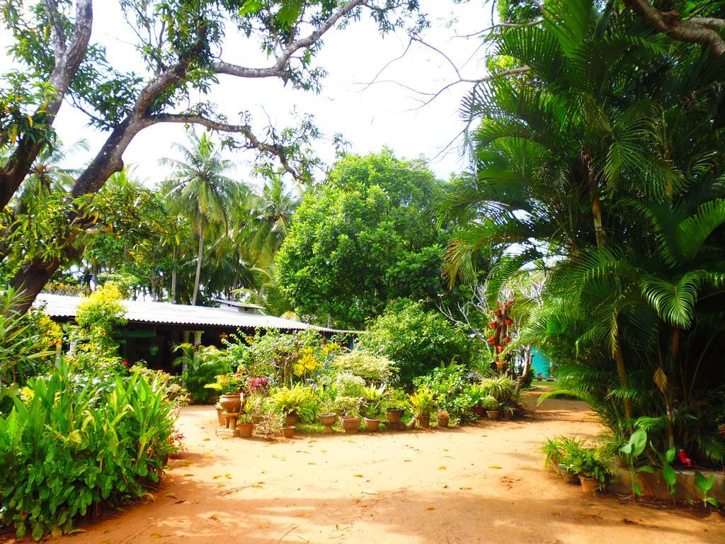 The Nilmini Lodge Sigiriya Eksteriør billede